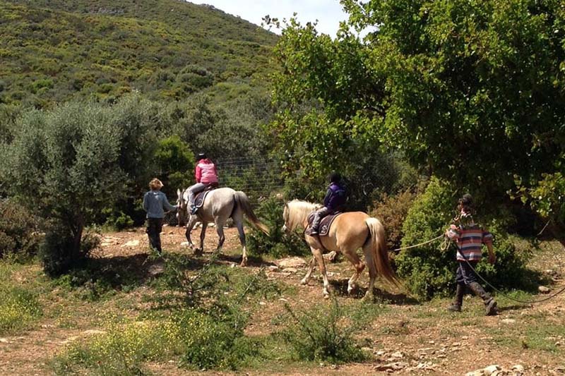 Golden View Beach Hotel Poros Activities